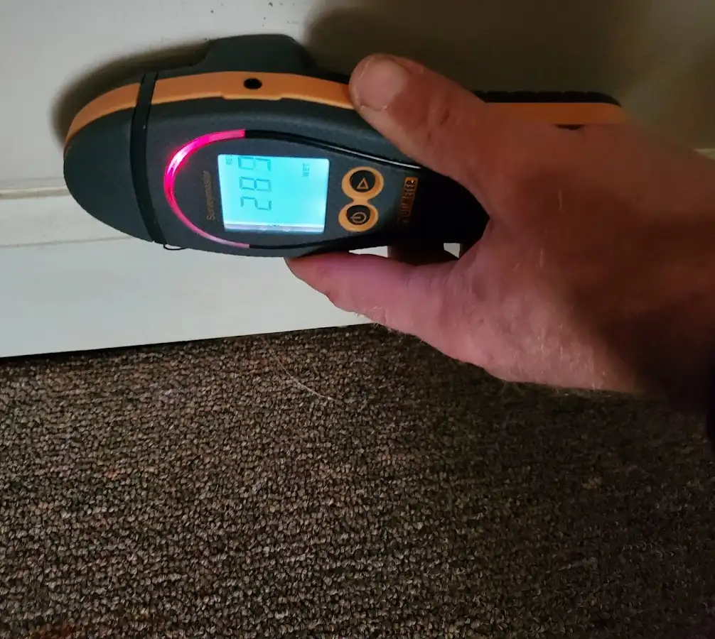 Moisture detection at baseboard during Mold Inspection & Testing in West Bountiful